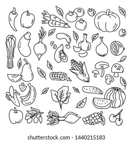 Vegetable hand drawn seamless pattern. Fresh vegetarian food, garden vegetables