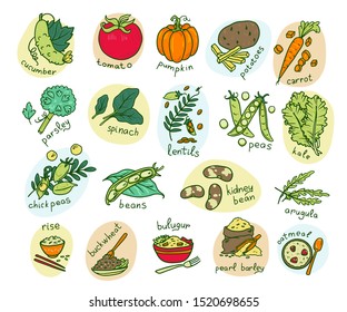 Vegetables Name Images, Stock Photos & Vectors | Shutterstock