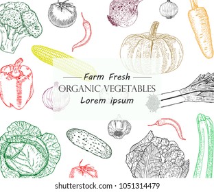 Vegetable hand drawn vintage vector illustration. Farm Market poster. Vegetarian set of organic products.