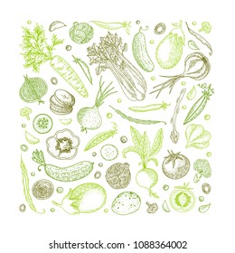 Vegetable hand drawn vintage vector illustration. Vegetarian set of organic products. Can be used for wrapping paper, street festival, farmers market, country fair, shop, menu, cafe, restaurant