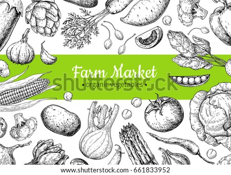 Vegetable hand drawn vintage vector illustration. Farm Market poster. Vegetarian set of organic products. Detailed food drawing. Great for menu, banner, label, logo, flyer