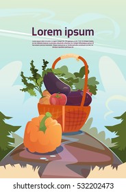 Vegetable Harvest Eco Fresh Farm Concept Flat Vector Illustration