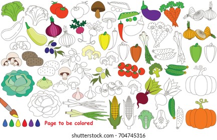 Vegetable Harvest Set to be colored, the coloring for preschool kids with easy educational gaming level.