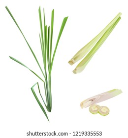 Vegetable and Herb of Fresh Lemon Grass with Slice Cooking