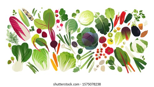 Iconos de verduras y hierbas, fondo alimentario