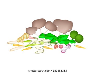 Vegetable and Herb, An Illustration of A Delicious Fresh Lime, Shallot, Kaffir Lime, Chili Pepper, Lemon Grass, Blue Ginger and Mushrooms Used for Ingredient in Tom Yum Soup. 