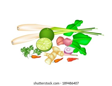 Vegetable and Herb, An Illustration of A Delicious Fresh Lime, Shallot, Kaffir Lime, Chili Pepper, Lemon Grass, Blue Ginger, Coriander Used for Seasoning in Thai Food. 