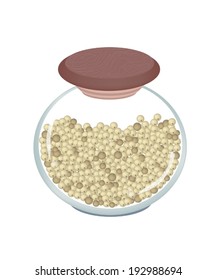 Vegetable and Herb, An Illustration Dried Peppercorns in A Glass Jar Used for Seasoning in Cooking. 