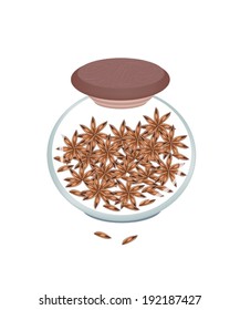Vegetable and Herb, Illustration of Dried Star Anise, Star Aniseed or Illicium Verum in Glass Jar, Used for Seasoning in Cooking. 