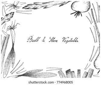 Vegetable and Herb, Illustration Frame of Hand Drawn Sketch Delicious Fresh Bulb and Stem Vegetables Isolated on White Background.