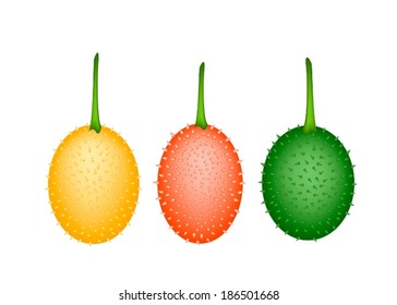 Vegetable and Herb, An Illustration of Fresh Gac Fruit, Teasel Gourd, Baby Jackfruit, Spiny Bitter Gourd, Sweet Gourd or Cochinchin Gourd Isolated on White Background. 