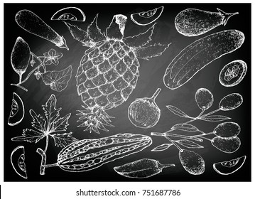 Vegetable and Herb, Illustration of Hand Drawn Sketch Delicious Fresh Gourd and Squash Isolated on Black Chalkboard.