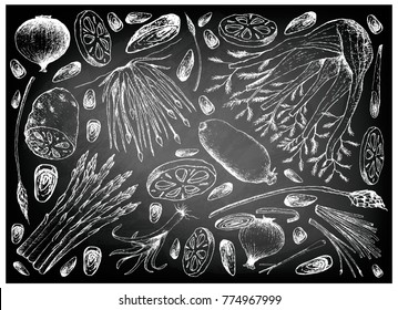 Vegetable and Herb, Illustration of Hand Drawn Sketch Delicious Fresh Bulb and Stem Vegetables on Black Chalkboard.