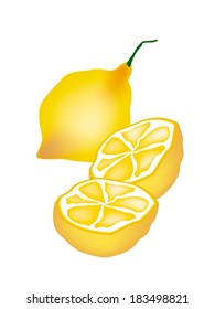 Vegetable and Herb, Vector Illustration of A Delicious Fresh and Ripe Lemon with Juicy Half of Lemons Isolated on White Background. 