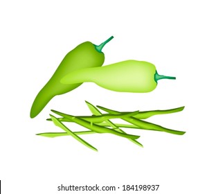 Vegetable and Herb, Vector Illustration Stack of Whole and Sweet Peppers Green Sweet Peppers Isolated on White Background. 