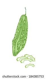 Vegetable and Herb, Vector Illustration of Whole and Sliced Balsam Pear, Bitter Gourd and Bitter Melon Isolated on White Background 