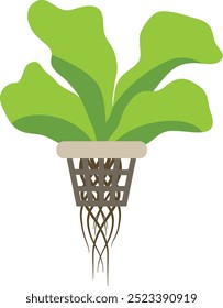 Vegetal na ilustração da fazenda hidropônica isolado no fundo branco