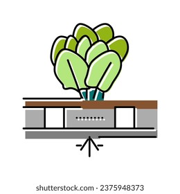 vegetable hydroponics water irrigation color icon vector. vegetable hydroponics water irrigation sign. isolated symbol illustration