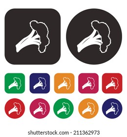Vegetable icon / broccoli icon