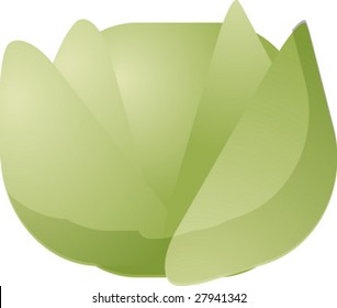 icono vegetal, ilustración de estilo chubby squarish