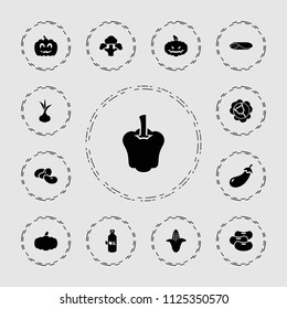 Vegetable icon. collection of 13 vegetable filled icons such as onion, cabbage, eggplant, corn, bean, oil, broccoli. editable vegetable icons for web and mobile.