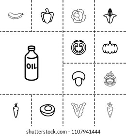 Vegetable icon. collection of 13 vegetable outline icons such as mushroom, pumpkin, carrot, corn, oil, pepper, tomato, avocado. editable vegetable icons for web and mobile.
