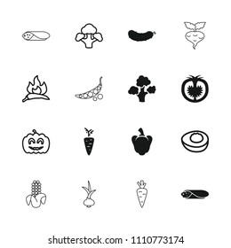 Vegetable icon. collection of 16 vegetable filled and outline icons such as tomato, chili, broccoli, pumpkin haloween, avocado. editable vegetable icons for web and mobile.