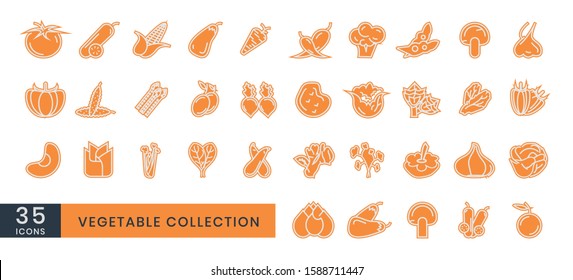 Vegetable icon. Collection of web symbols with minimal thin line art style. garden products. corn, pumpkin, cucumber, lettuce, tomato, onion, spinach and others. Simple vector illustration element.