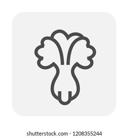 Vegetable icon design, black and outline.