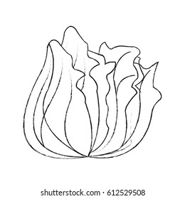 vegetable icon image 