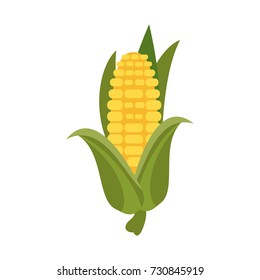 vegetable icon image 