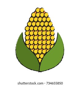 vegetable icon image