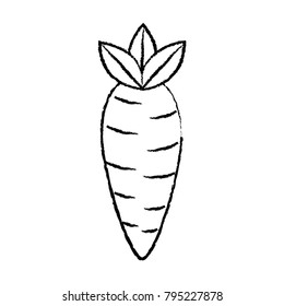 vegetable icon image 