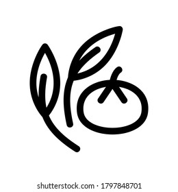 vegetable icon or logo isolated sign symbol vector illustration - high quality black style vector icons
