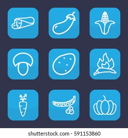 vegetable icon. Set of 9 outline vegetable icons such as mushroom, potato, peas, chili, eggplant, corn, wrap sandwich, pumpkin