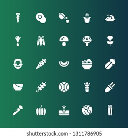vegetable icon set. Collection of 25 filled vegetable icons included Wrap, Cabbage, Tuber, Pumpkin, Carrot, Corn, Brochette, Salad, Courgette, Melon, Ginger, Garden, Mushroom