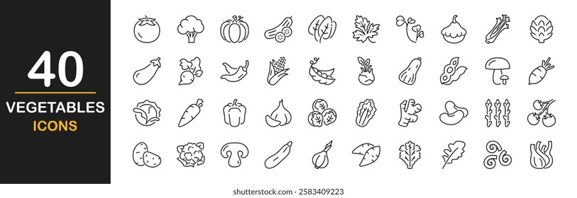 Vegetable icon set. Contains such Icons as tomato, cucumber, cauliflower, eggplant, radish, mushroom, ginger, broccoli, corn, celery, garlic and more. Vector illustration