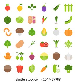 Vegetable icon set, flat style vector illustration.