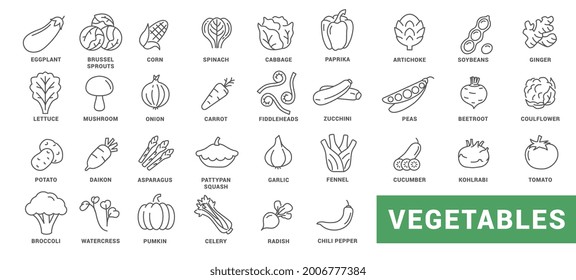 Vegetable icon set. Minimal thin line style. Outline icons collection vegetables zucchini, tomato, radish, mushroom, ginger, fennel, corn, celery. Vector illustration Design on white background EPS 10