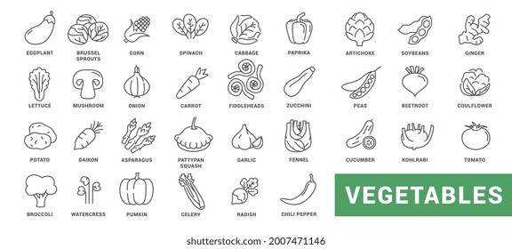 Vegetable icon set. Minimal thin line style. Outline icons collection vegetables zucchini, tomato, radish, mushroom, ginger, broccoli, corn daikon Vector illustration Design on white background EPS 10