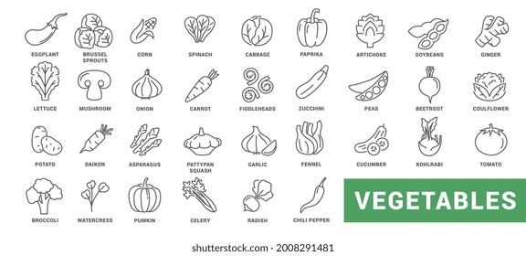 Vegetable icon set. Minimal thin line style. Outline icons collection vegetables eggplant, tomato, radish, mushroom, ginger, broccoli, corn daikon Vector illustration Design on white background EPS 10