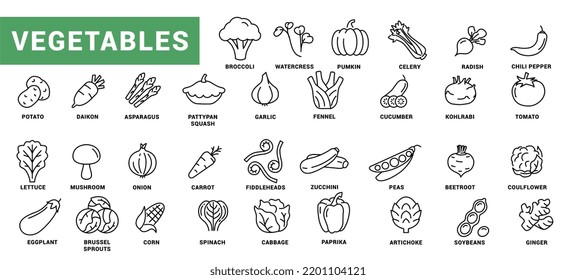 Pflanzensymbol-Set. Minimaler dünner Linienstil. Outline Icons Sammlung Gemüse zucchini, Tomate, Radieschen, Pilze, Ingwer, Fenchel, Mais, Sellerie. Vektorgrafik-Design auf weißem Hintergrund EPS10