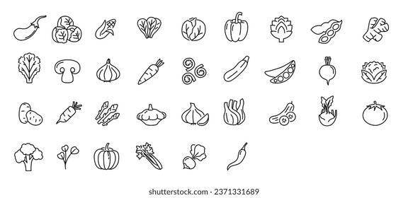 Vegetable icon set. Minimal thin line style. Outline icons collection vegetables eggplant, tomato, radish, mushroom, ginger, broccoli, corn daikon Vector illustration Design on white background EPS 10