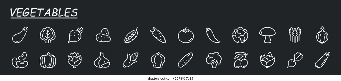 Vegetable icon set. Minimal thin line style. Outline icons collection vegetables zucchini, tomato, radish, mushroom, ginger, fennel, corn, celery. Vector illustration Design on white background