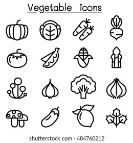 Vegetable icon set in thin line style