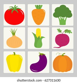 Vegetable icon set. Tomato, pepper, carrot, broccoli, onion, sweet corn, beet, eggplant aubergine, pumpkin Fresh farm healthy food. Education card for kids. Flat design White background Vector