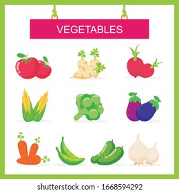Vegetable icon set vector. with flat design, such us tomato, eggplant, bean, corn etc