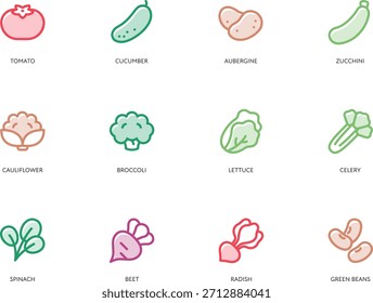 Conjunto de ícone vegetal. Ilustração vetorial. Símbolo de cor plana moderna. Coleção de alimentos saudável. Pictogramas de tomate, pepino, abobrinha, couve-flor, brócolis, alface, aipo, espinafre, beterraba, rabanete