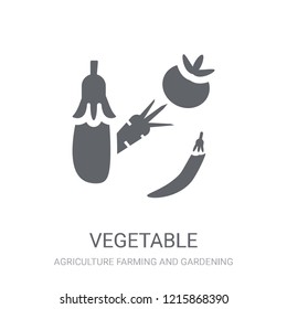 Vegetable icon. Trendy Vegetable logo concept on white background from Agriculture Farming and Gardening collection. Suitable for use on web apps, mobile apps and print media.