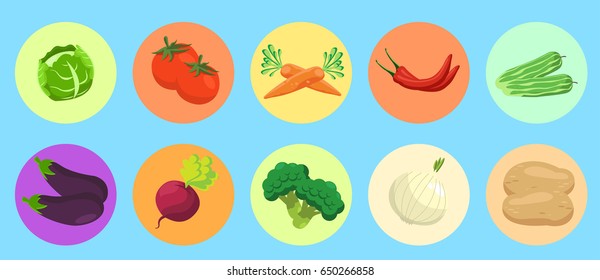 vegetable icon vector,vegetable icon cartoon